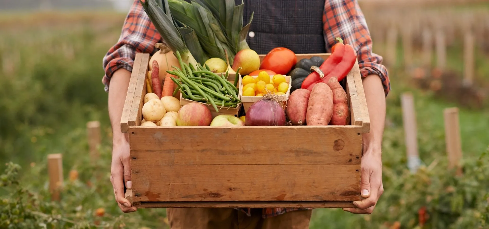 Royalton Farms